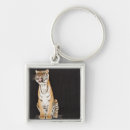 Search for roaring keychains Strength