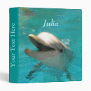 Search for dolphin binders Water