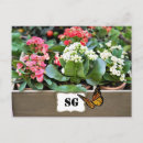Search for containers postcards Flower