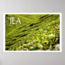 Search for plantations posters Tea