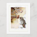 Recherche de longues oreilles cartes postales Faune