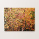 Search for fall foliage puzzles Autumn