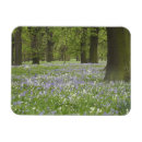 Recherche de wall refrigérateur magnets Arbre