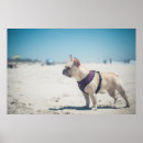 Recherche de animal photography art Outdoors