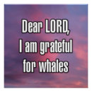 Search for whale posters Quotes