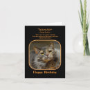 Search for cats meow birthday cards Kitty