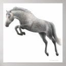Search for horse jumping posters Pony
