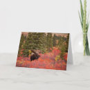 Recherche de denali vœux cartes Bois