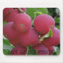 Recherche de fruit tapis souris Photographie