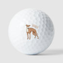 Search for greyhound golf equipment Dog
