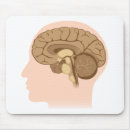 Search for clinical psychologist gifts Doctor