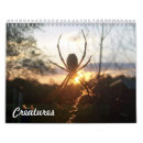 Search for ladybug calendars Nature