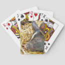 Search for pig playing cards Cute