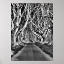 Recherche de haie posters Arbres