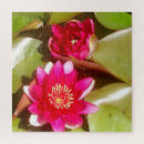 Recherche de fleur lotus de puzzles Nénuphar