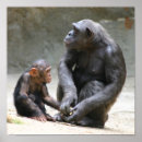 Search for i love mum posters Animals