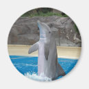 Search for saltwater magnets Aquatic