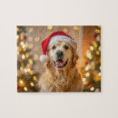 Recherche de laboratoire puzzles Dog