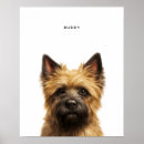 Recherche de terrier cairn posters Mignon