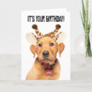 Search for earred cards Puppy