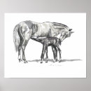 Recherche de poulain jument posters Poney