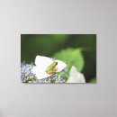 Search for tree frog canvas prints Outdoors