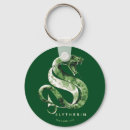 Search for slytherin keychains Wizard