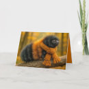 Recherche de chenille vœux cartes Insecte