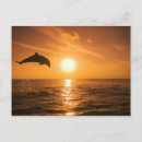 Search for jumping dolphin postcards Outdoors