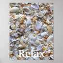Search for florida seashells art Beach