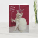 Search for cat girl birthday cards Kitten