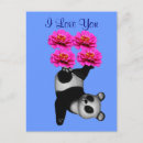 Recherche de love panda cartes postales Animal