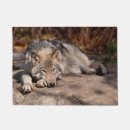Recherche de loup de brosse Loups