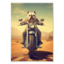 Search for motorcycle lovers posters Bike