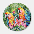 Search for parrot magnets Watercolor