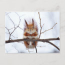 Search for friendly postcards Animal