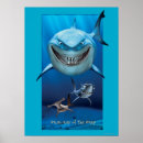 Search for finding nemo dory posters Sharks