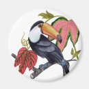 Recherche de oiseaux exotiques magnets Jungle