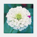 Search for zinnia magnets Summer