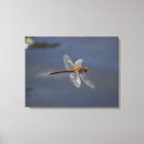 Search for dragonfly art Paint