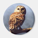Search for cool birds magnets Owl