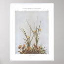 Recherche de copie jaune de fleur Plante