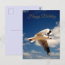 Search for seabirds cards invites Wildlife