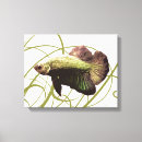 Search for betta fish art Bettas