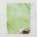 Search for blading postcards Green