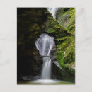 Search for merlin postcards Cornwall