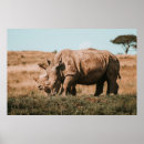 Recherche de rhino poster posters Nature