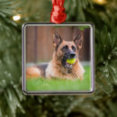 Recherche de berger allemand ornements Animal