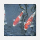 Recherche de carpe koi magnets Poisson