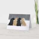 Recherche de black puppy cartes postales Animal